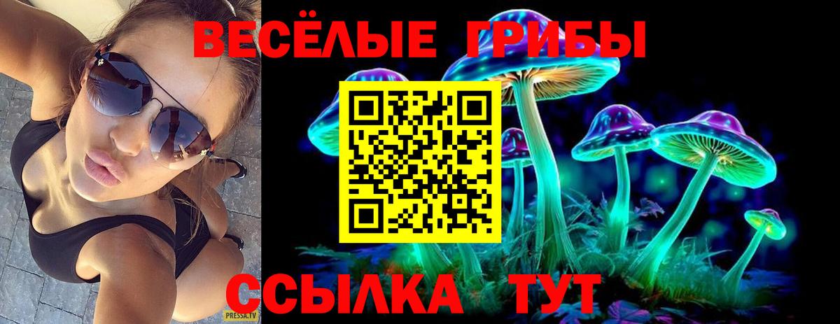 Псилоцибиновые грибы мицелий Лесосибирск